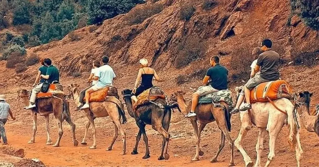 Group of tourists riding camels during Morocco desert tour best morocco tours
