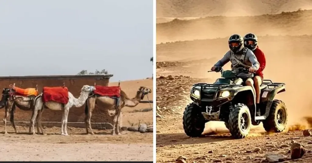 Camels and quad bikes ready for adventure in the Marrakech desert Marrakech Morocco Tours