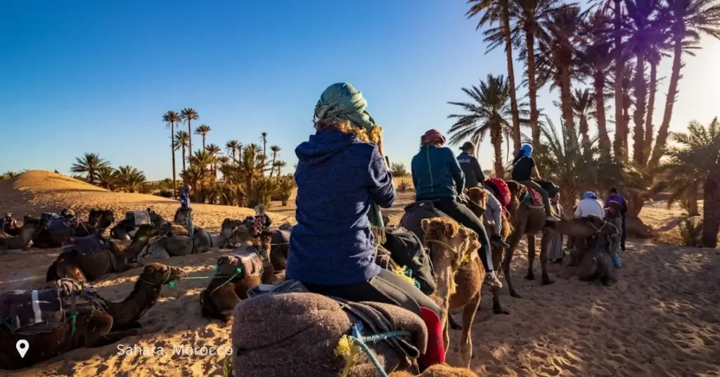Travelers riding camels through a palm-lined trail in the Moroccan Sahara