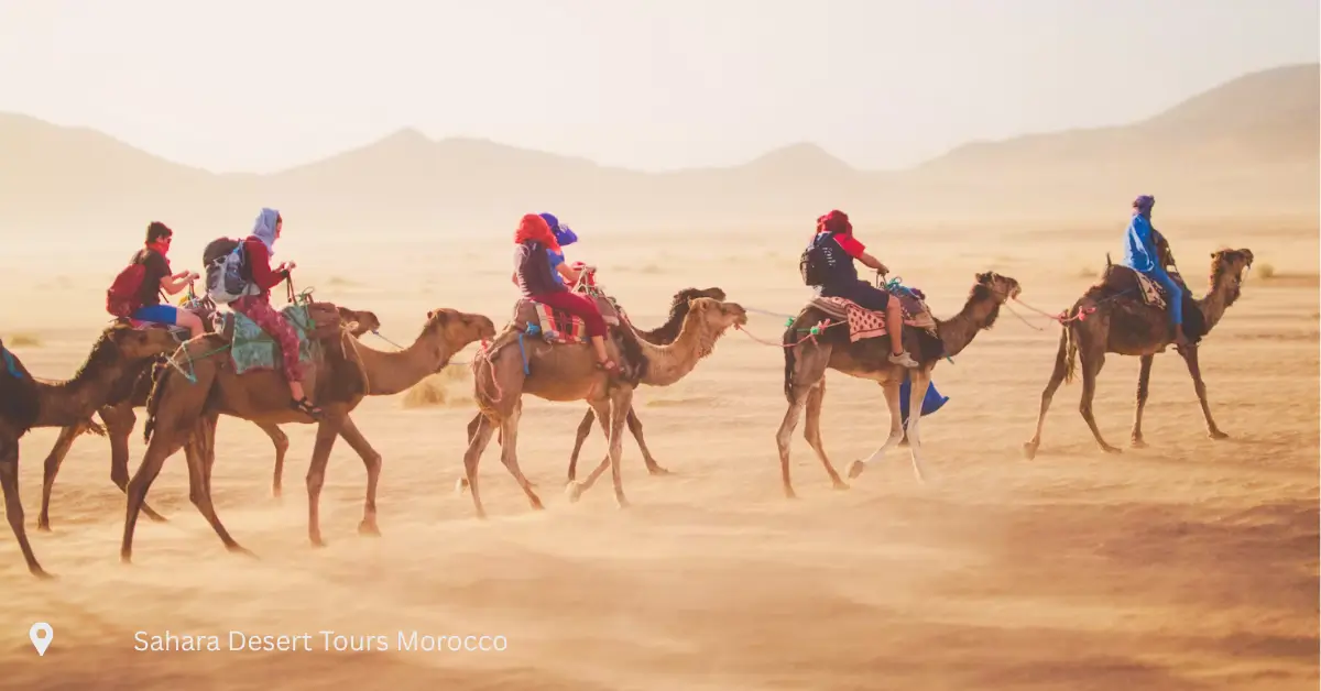 Sahara camel caravan with travelers during Morocco small group tours in the desert
