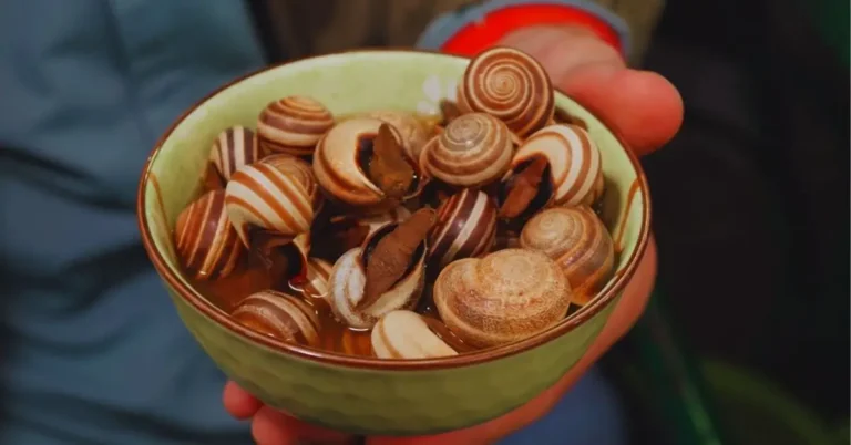 Facts about Morocco - traditional snail soup street food